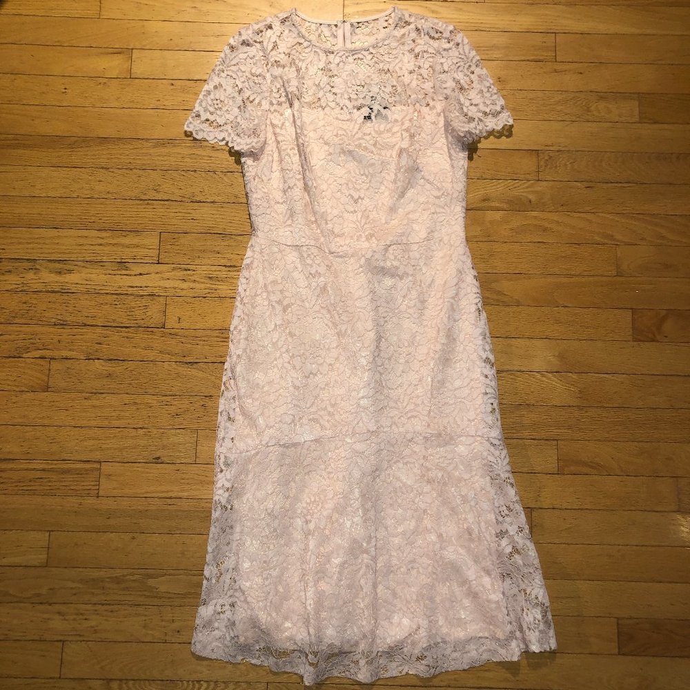 Brand New Gorgeous Women's Lauren Ralph Lauren Lace Formal Dress - Picture 5 of 15